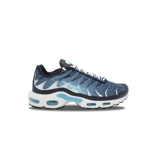 Nike Air Max Plus TN Dark Obsidian - DripDrip Balkan
