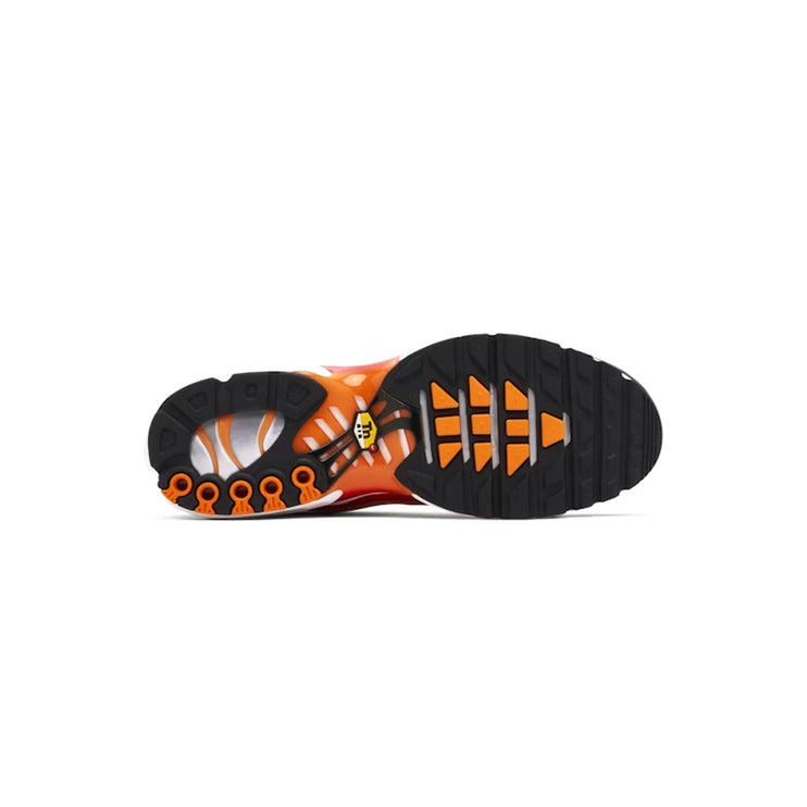 Nike Air Max Plus TN Light Photography - DripDrip Balkan