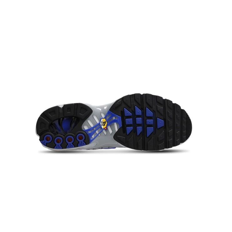 Nike Air Max Plus TN Tuned Grey Blue