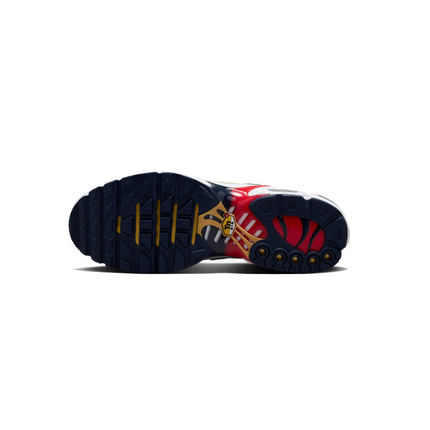 Nike Air Max TN PSG - DripDrip